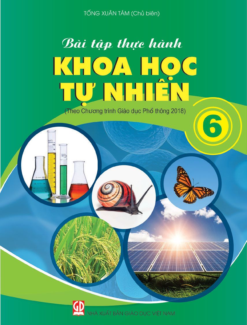 Bài Tập Thực Hành Khoa Học Tự Nhiên 6 