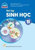  BT Sinh Học 11 - Chân trời sáng tạo 