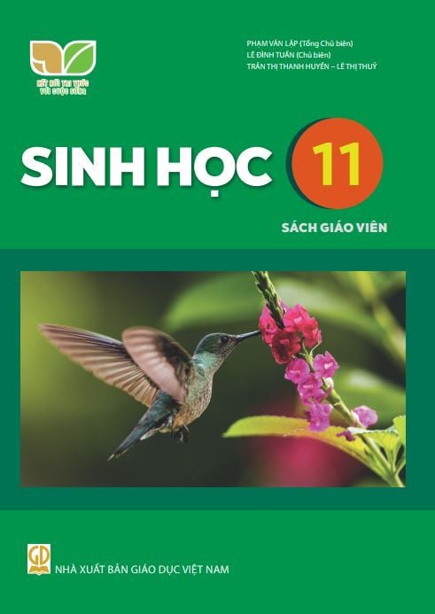  SGV Sinh Học 11 - Kết nối tri thức với cuộc sống 