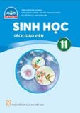  SGV Sinh học 11 -  Chân trời sáng tạo 