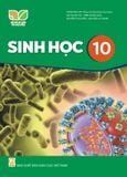  SGK Sinh Học 10 - Kết Nối Tri Thức Với Cuộc Sống 