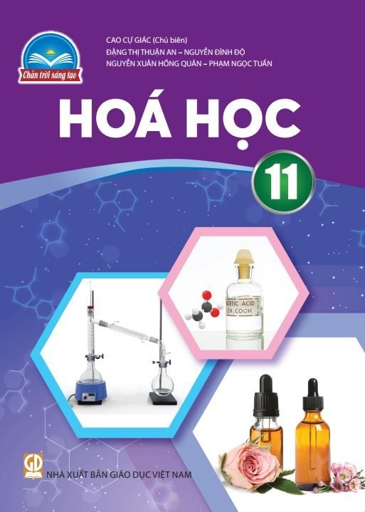  SGK Hóa học 11 - Chân trời sáng tạo 