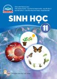  SGK Sinh học 11 - Chân trời sáng tạo 