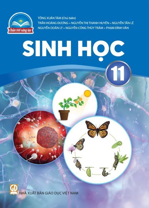  SGK Sinh học 11 - Chân trời sáng tạo 
