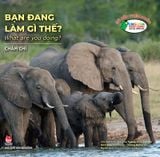Combo Gõ cửa thiên nhiên (5 quyển)