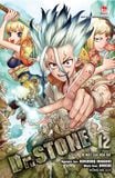 Dr. STONE