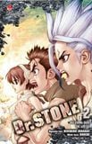 Dr. STONE