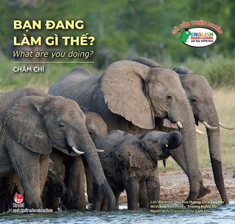 Gõ cửa thiên nhiên - Bạn đang làm gì thế? - What are you doing?