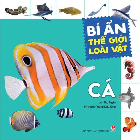 Bí ẩn thế giới loài vật - Cá