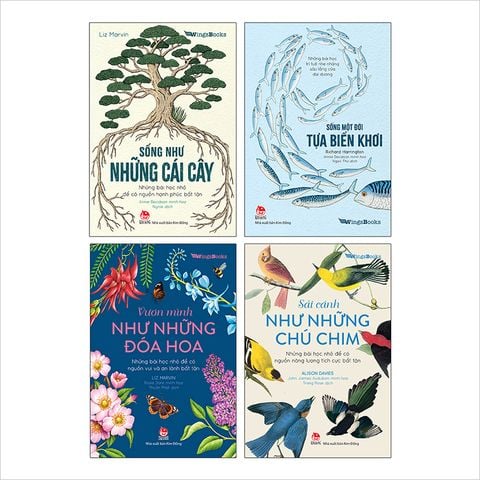 Combo Những bài học nhỏ từ thiên nhiên (4 quyển)
