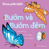 Đố em phân biệt ! - Bướm và Bướm đêm