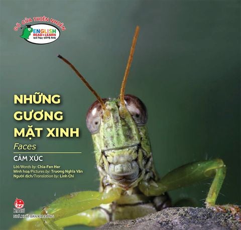 Gõ cửa thiên nhiên - Những gương mặt xinh - Faces