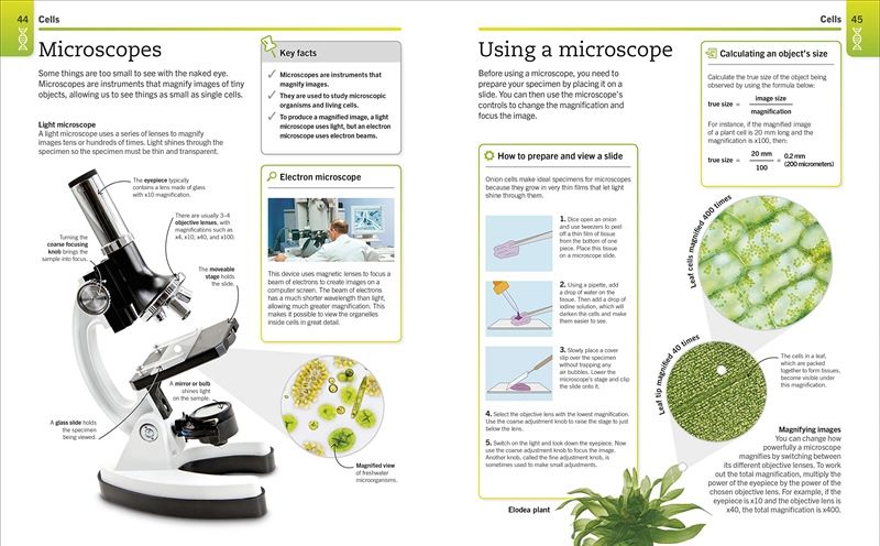 Super Simple Biology – May Book Shop