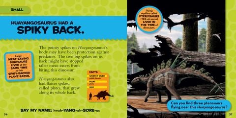 First big book of dinosaurs – May Book Shop