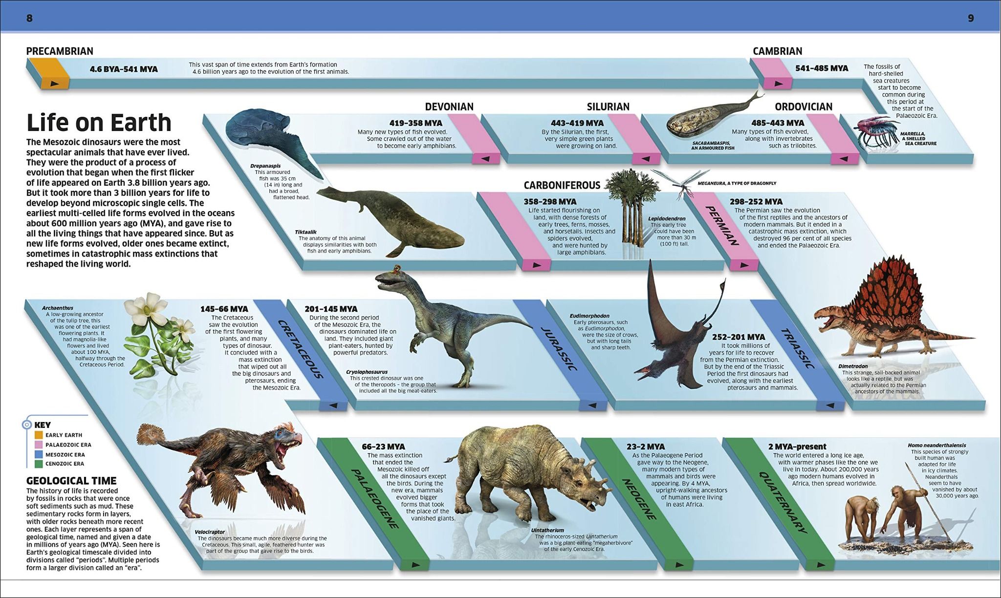  Knowledge encyclopedia of dinosaur 