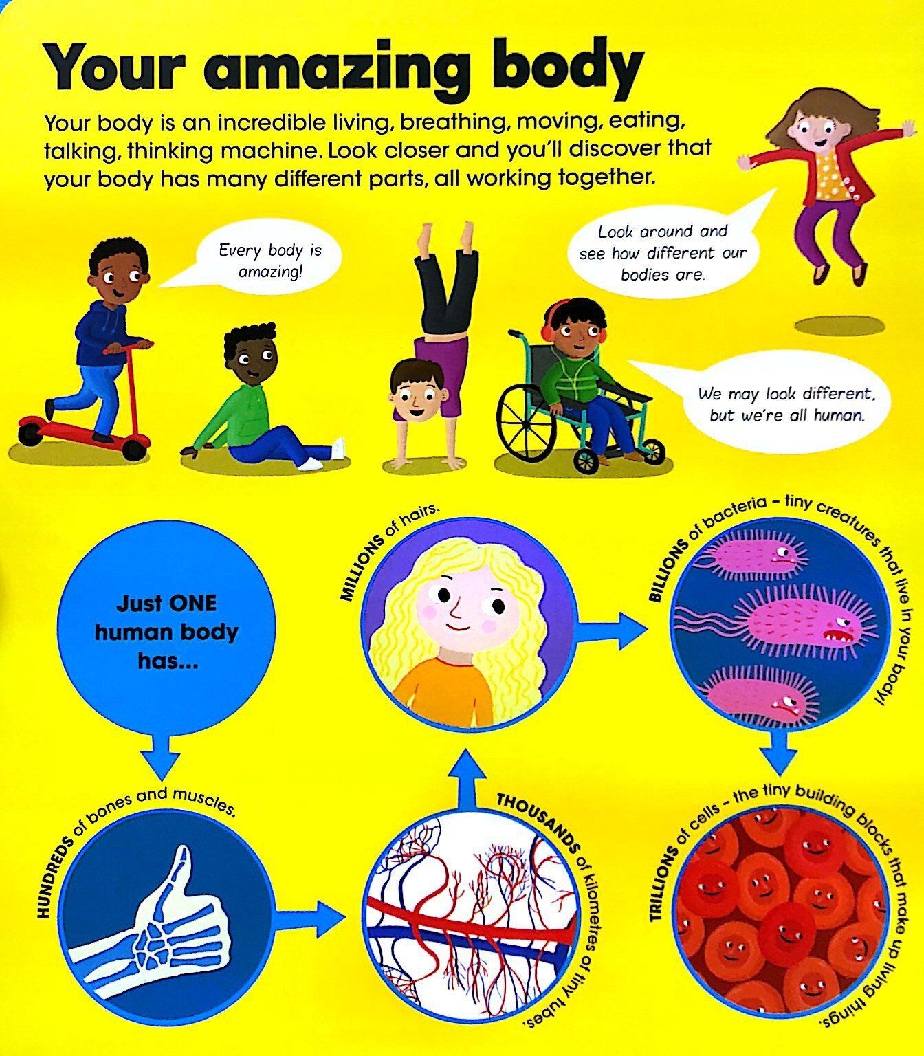  Your Amazing Body 
