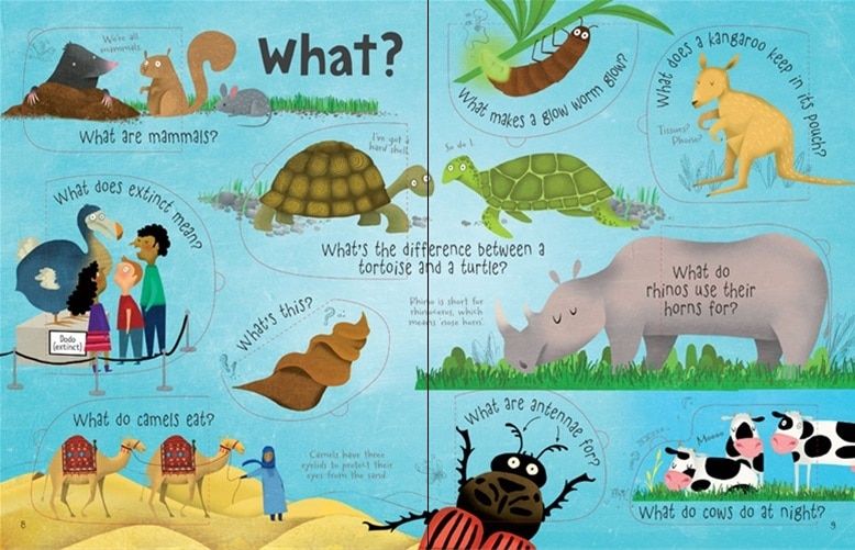Question and Answer about Animals – May Book Shop