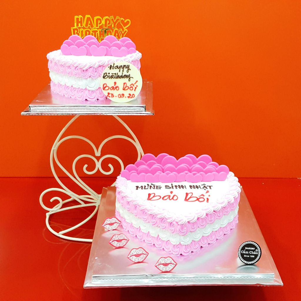 Bánh Người Lớn 1