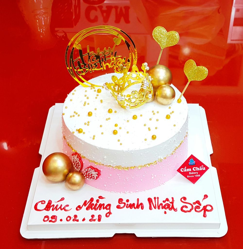 Bánh Người Lớn 1