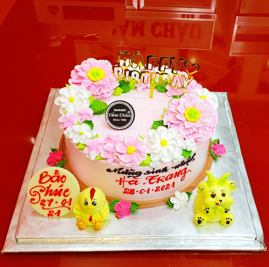 Bánh Người Lớn 1