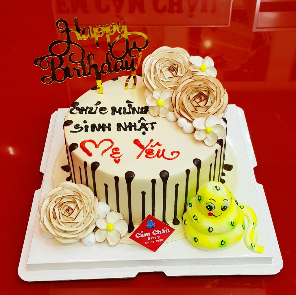 Bánh Người Lớn 1