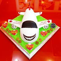 Bánh Hình Máy Bay