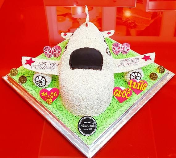 Bánh Hình Máy Bay