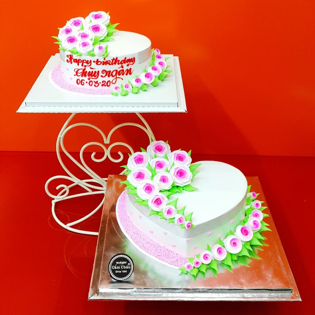 Bánh Người Lớn 1