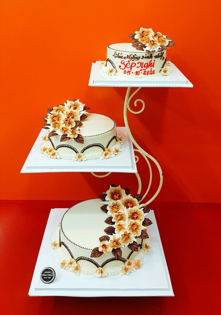 Bánh Người Lớn 1