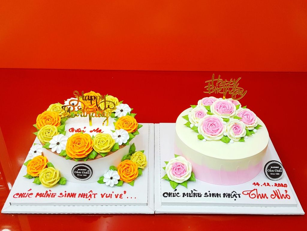 Bánh Người Lớn 1