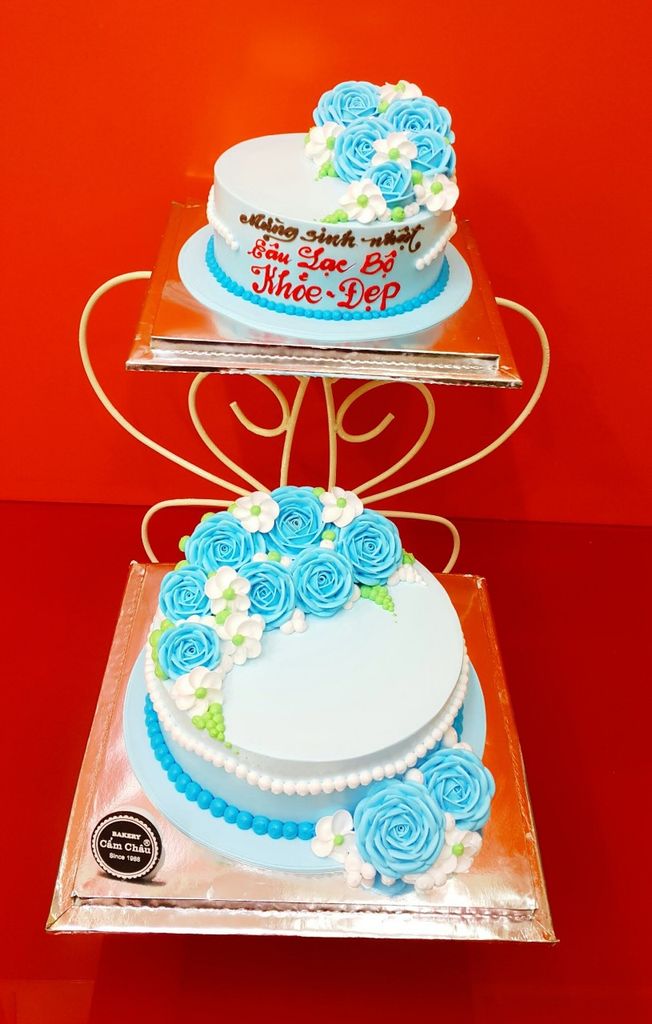 Bánh Người Lớn 1