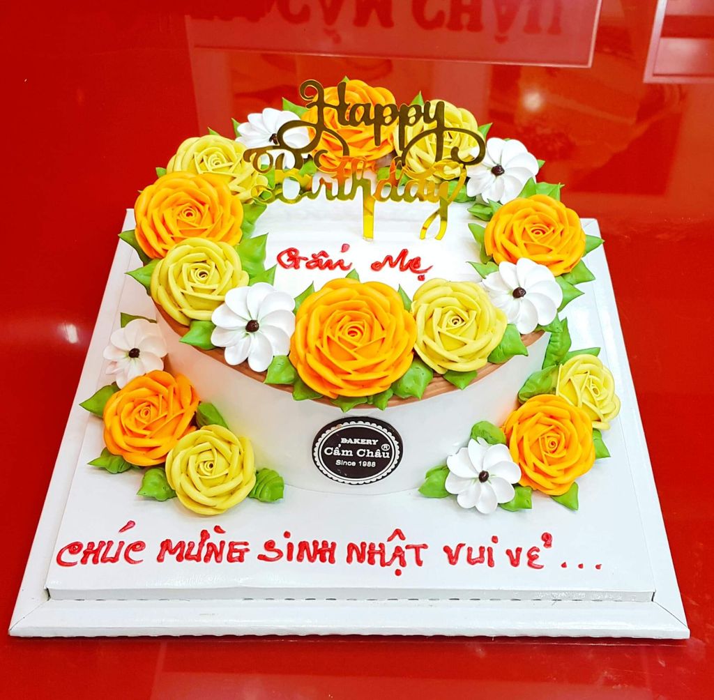 Bánh Người Lớn 1