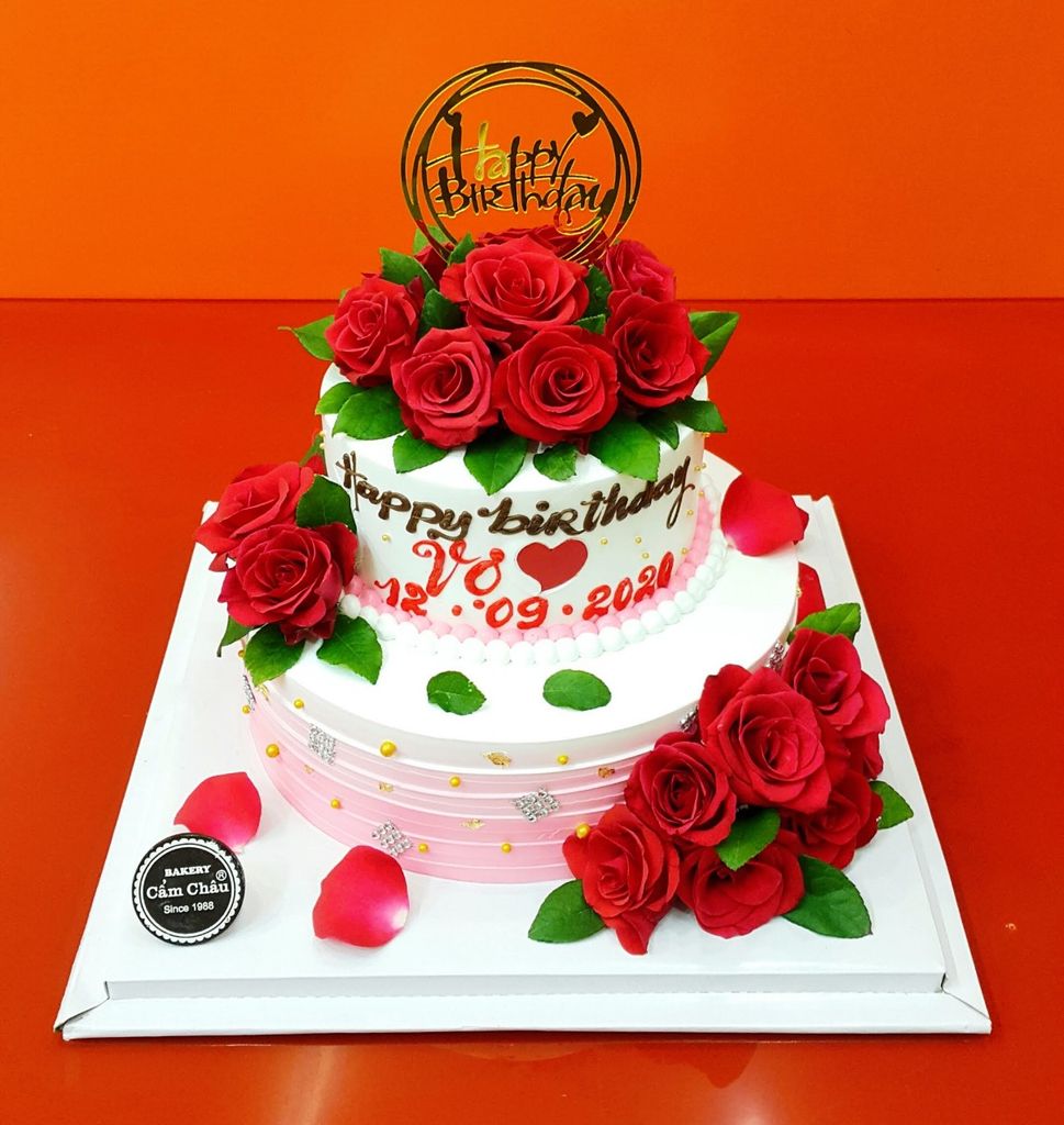 Bánh Người Lớn 1