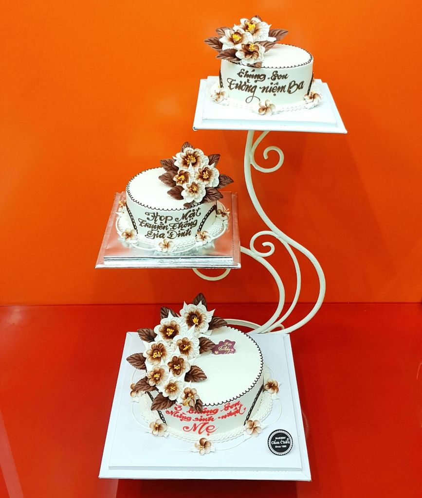 Bánh Người Lớn 1