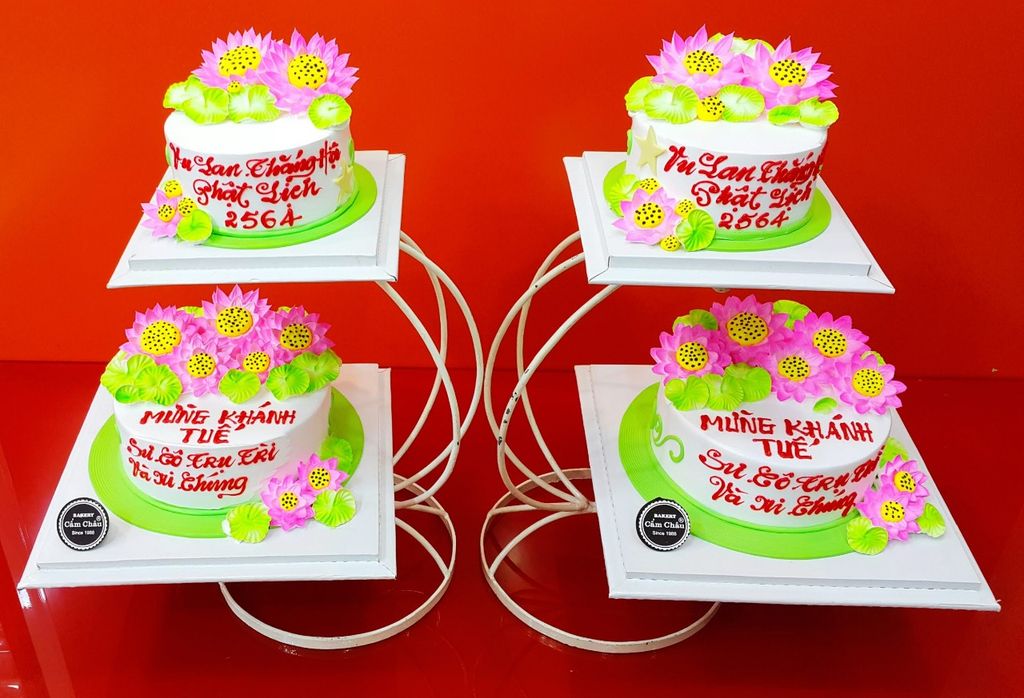 Bánh Người Lớn 1