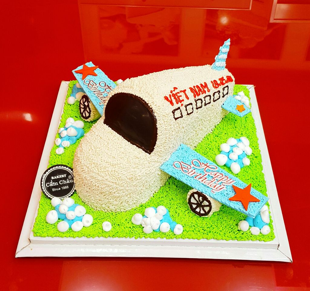 Bánh Hình Máy Bay