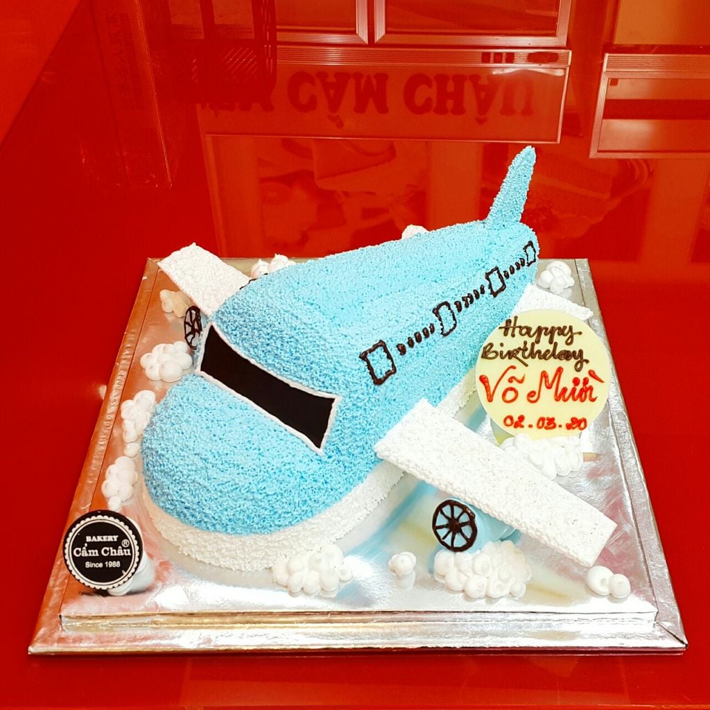 Bánh Hình Máy Bay