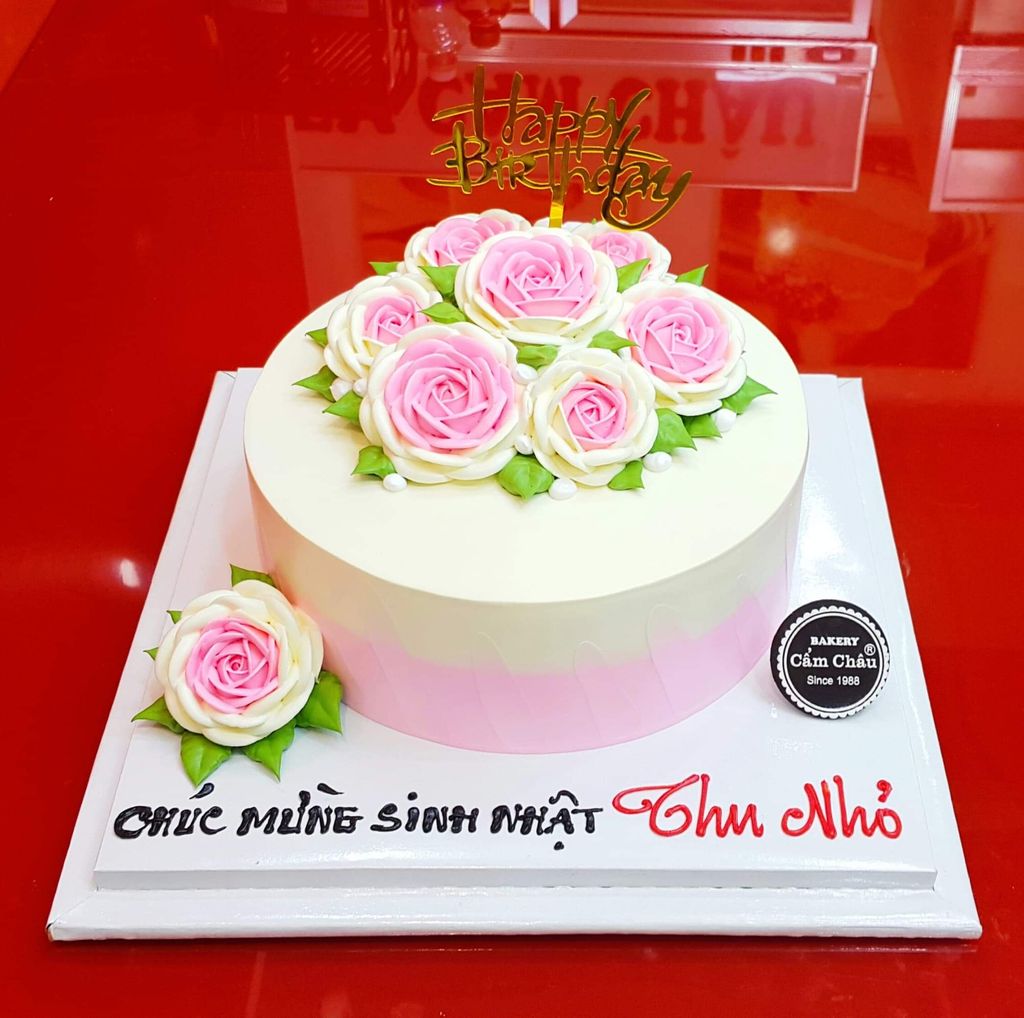 Bánh Người Lớn 1