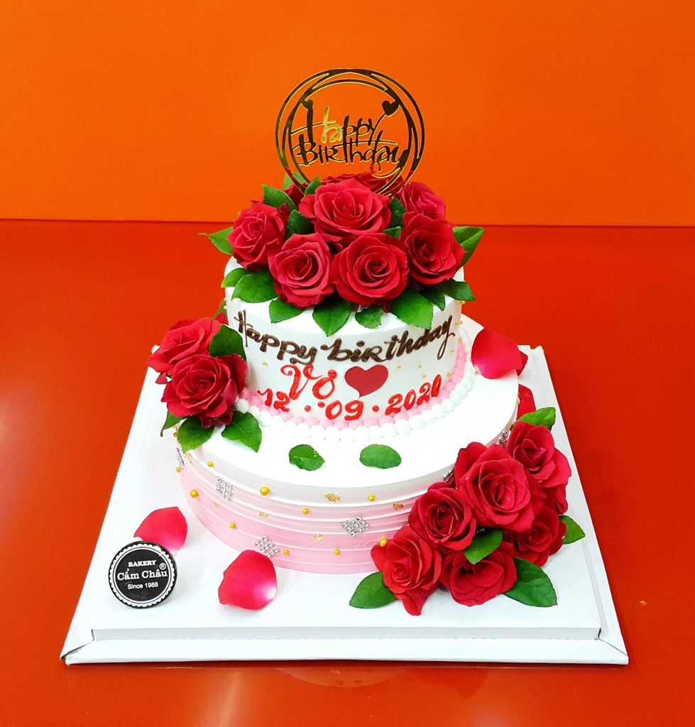 Bánh Người Lớn 1