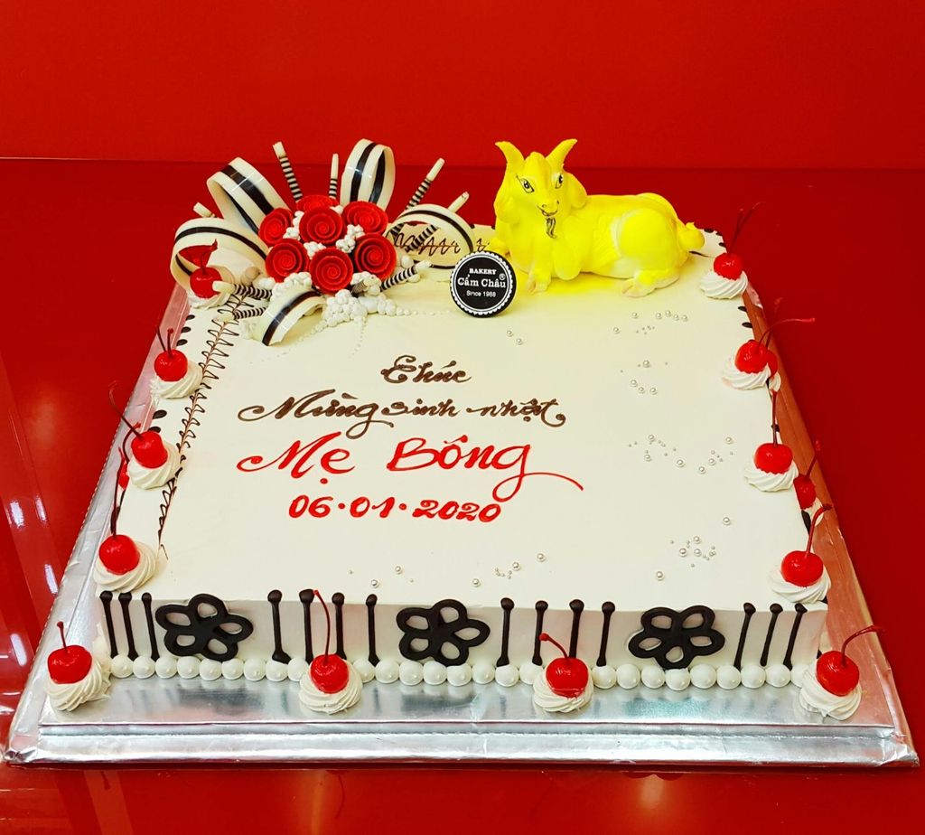 Bánh Người Lớn 1