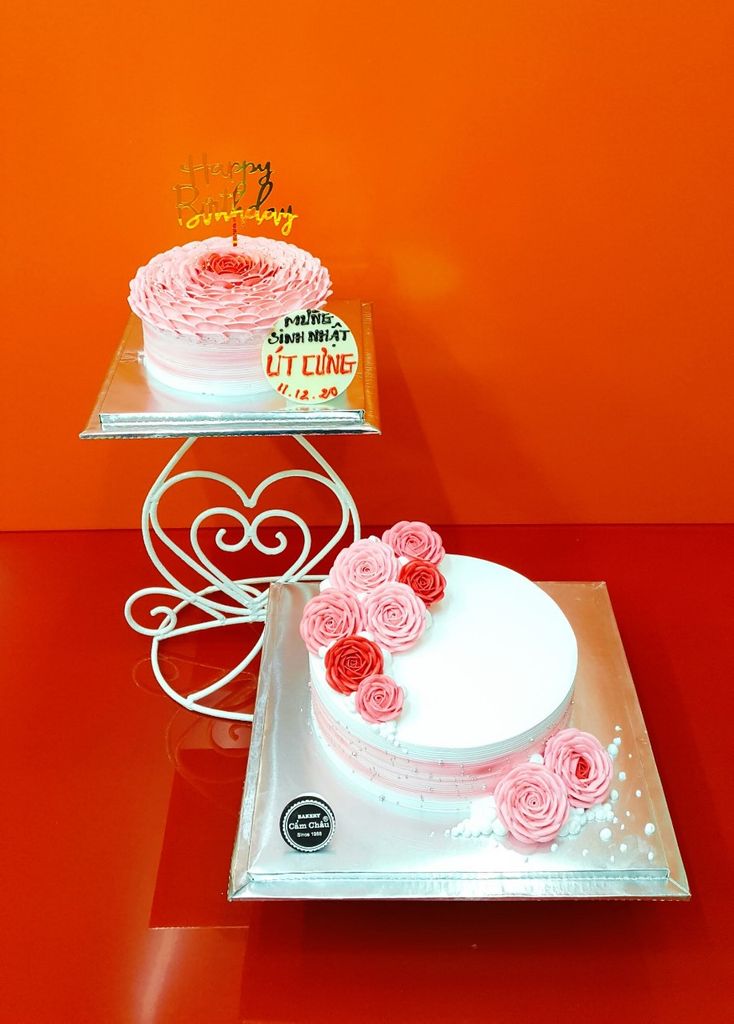 Bánh Người Lớn 1