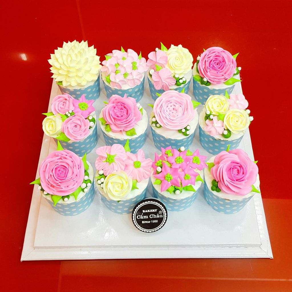 Bánh Người Lớn 1