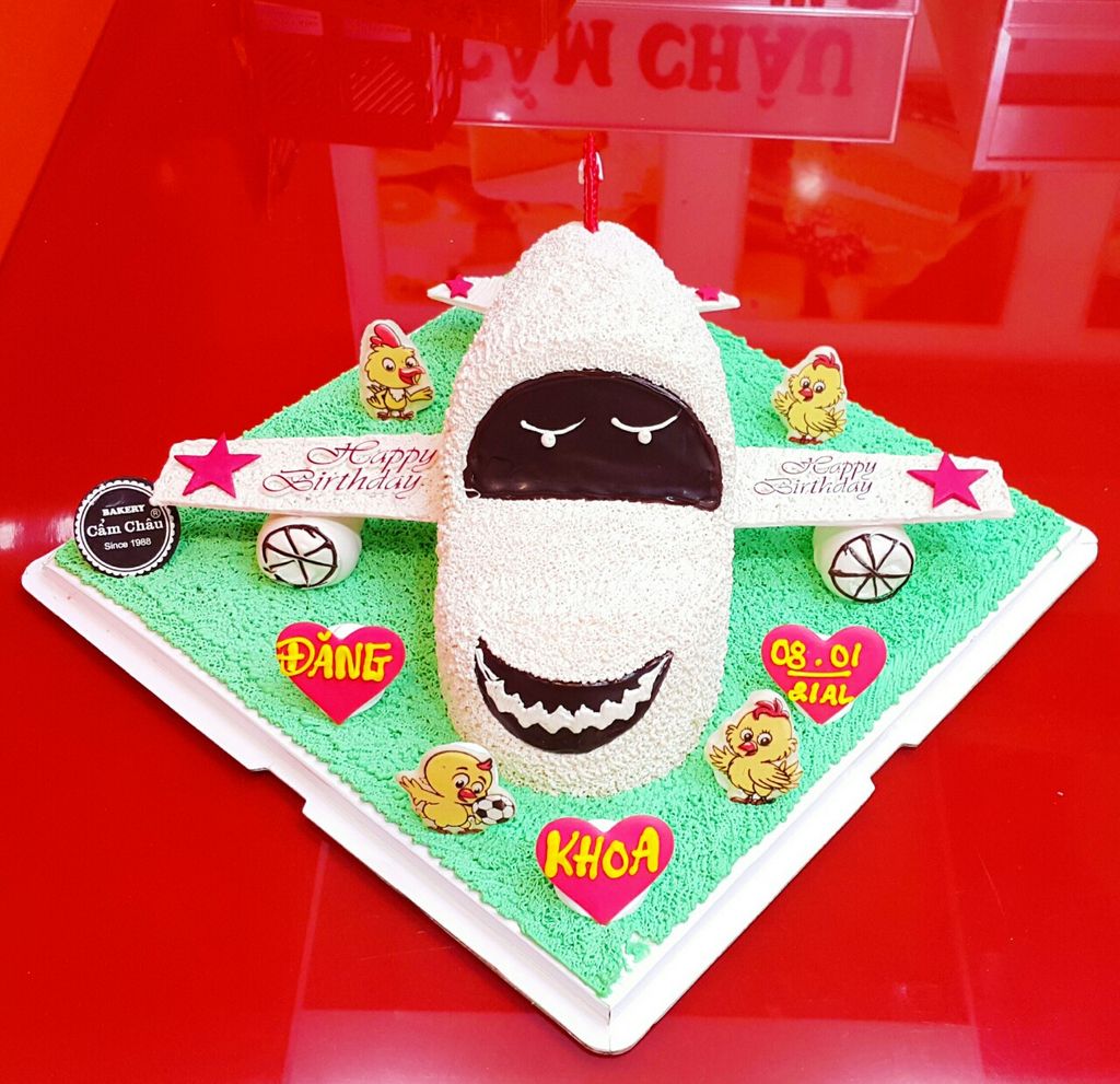 Bánh Hình Máy Bay