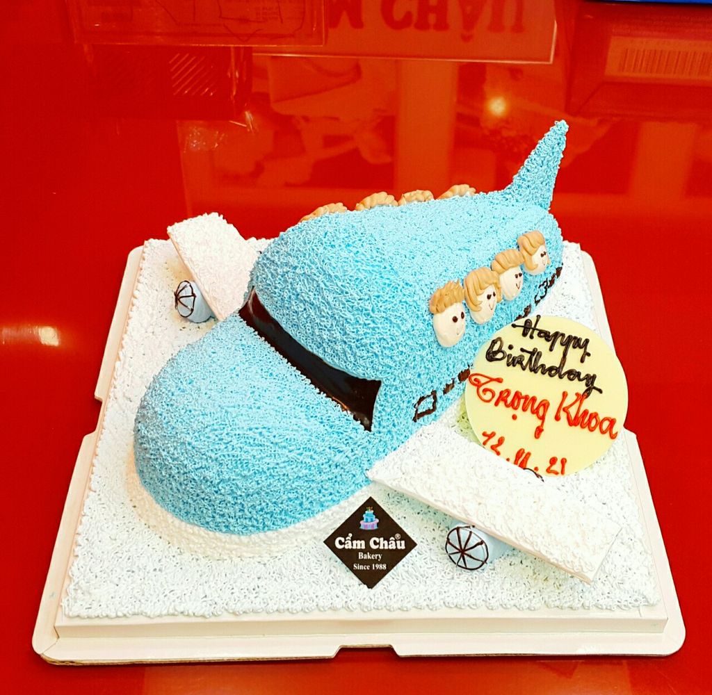 Bánh Hình Máy Bay