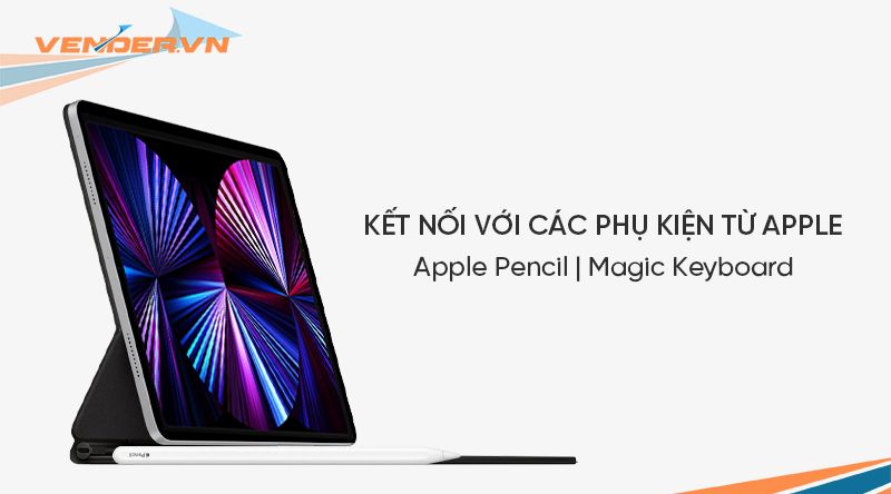  iPad Pro 11-inch M1 - 2TB Wi-Fi + 5G (Cellular) - Hàng chính hãng 