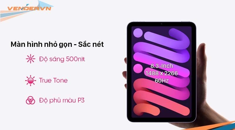  iPad Mini 6 - 64GB Wi-Fi nhiều màu - Hàng chính hãng 