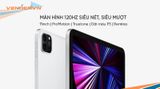  iPad Pro 11-inch M1 - 1TB Wi-Fi - Hàng chính hãng 