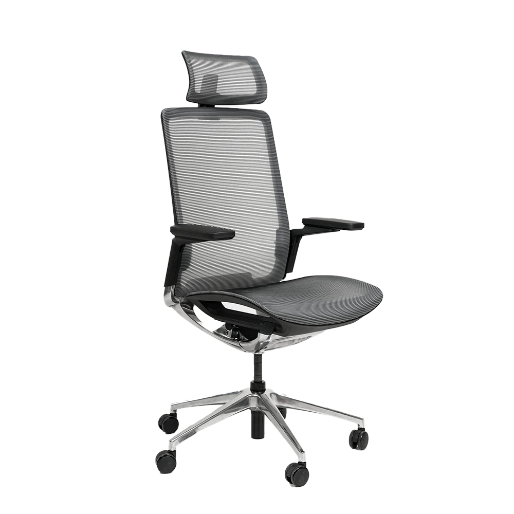 Ghế Công Thái Học HyperWork Sleek OC01