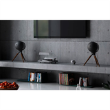  Loa Devialet Phantom I 103DB Matte Black 