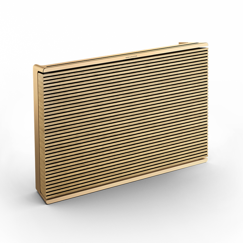 Loa Bang & Olufsen Beosound Level